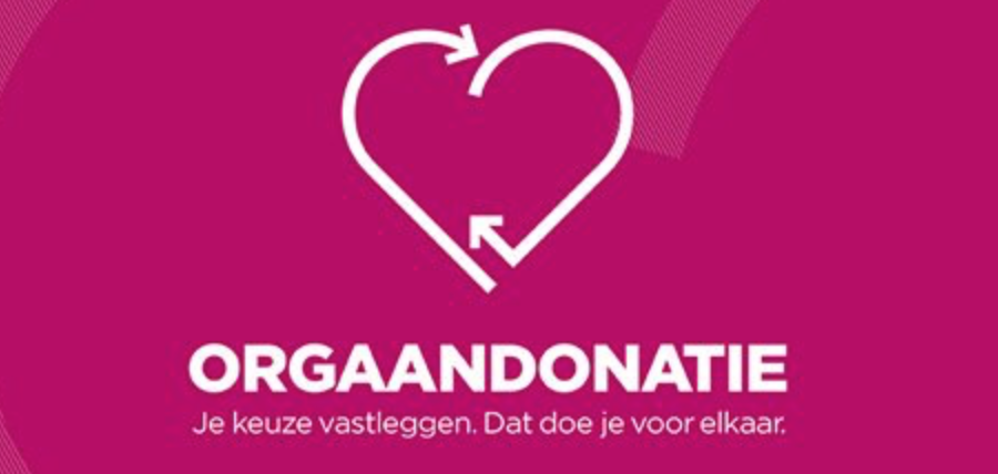 Websites – LEEUWENHART KRIJN